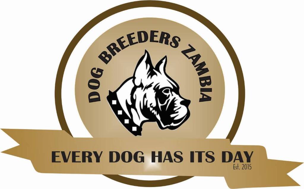 dogbreederszambia.com