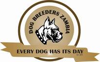 dogbreederszambia.com